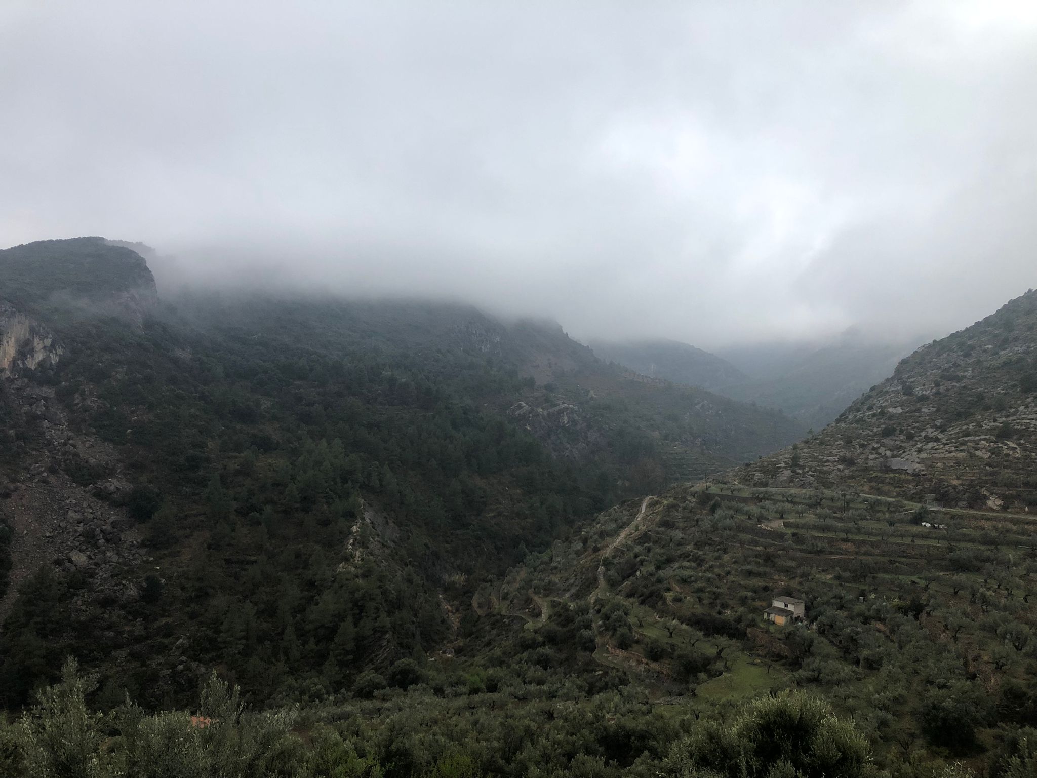 Vista de la zona de la badina desde detrás del castillo. Nieblas